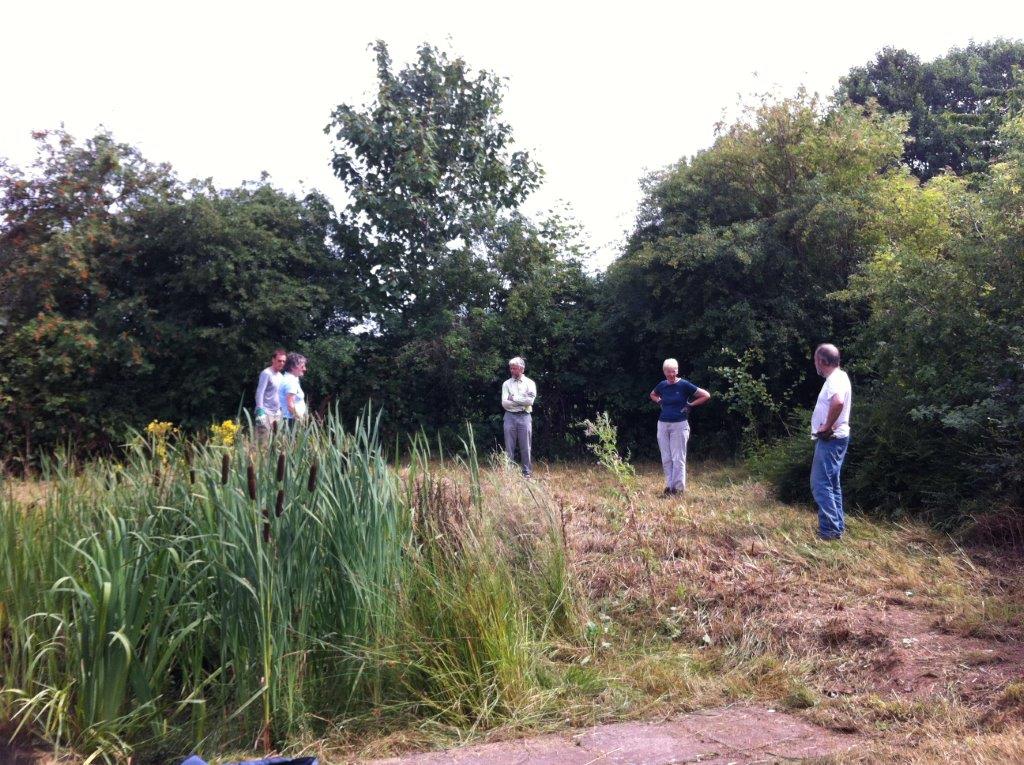 Volunteers review their work