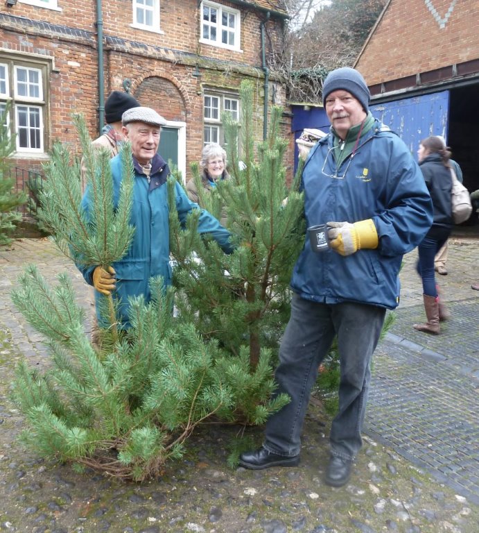 Customer purchasing two trees