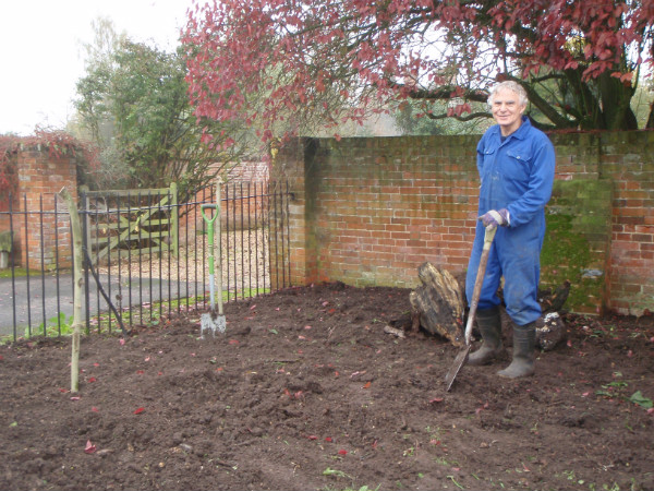 Volunteer appraising cleared site