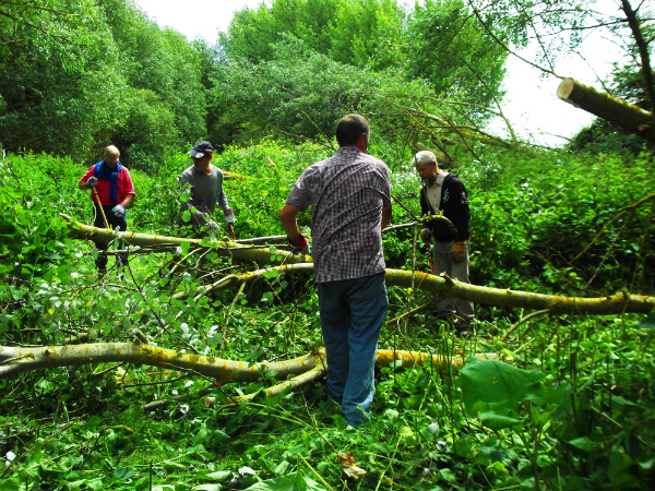 Path being cleared