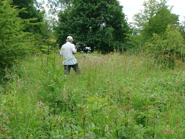 Volunteer locates site to count