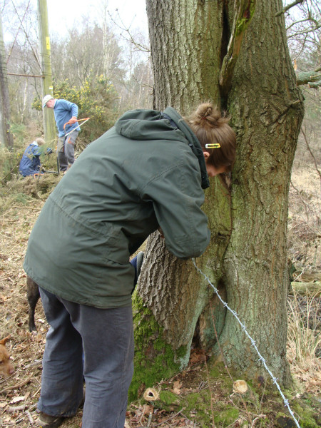 Removing barbed wire