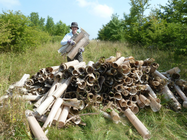 Judith stacks discarded tree guards