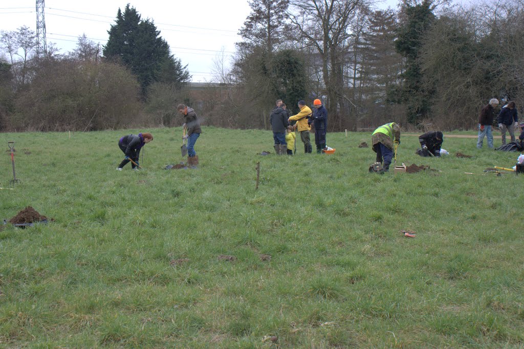 Tree planting in progress