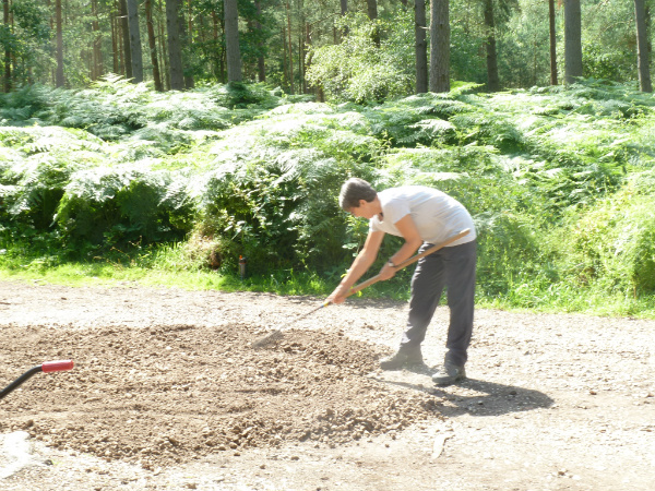 Volunteer levels aggregate