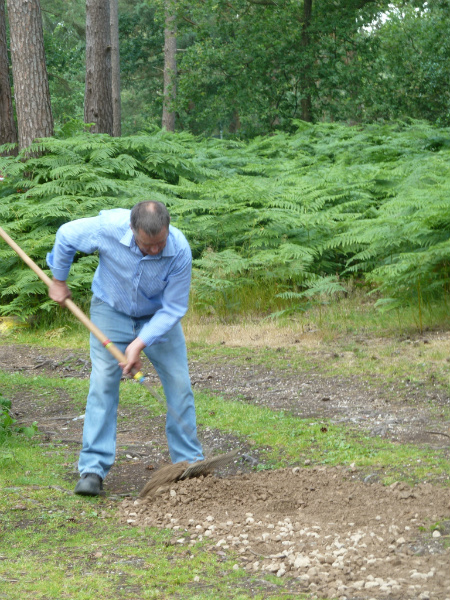 Volunteer levels aggregate