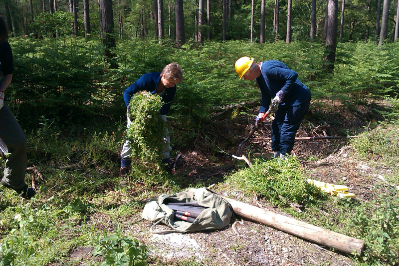 Volunteers clear ditch